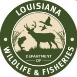 Louisiana Temporary Assistance to Needy Families